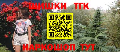 дмт Новодвинск