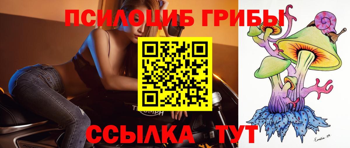 Псилоцибиновые грибы GOLDEN TEACHER Бирск